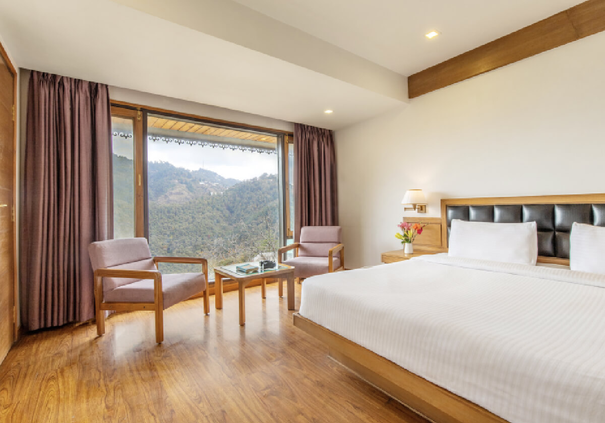 mountain-view-rooms-1 (1)