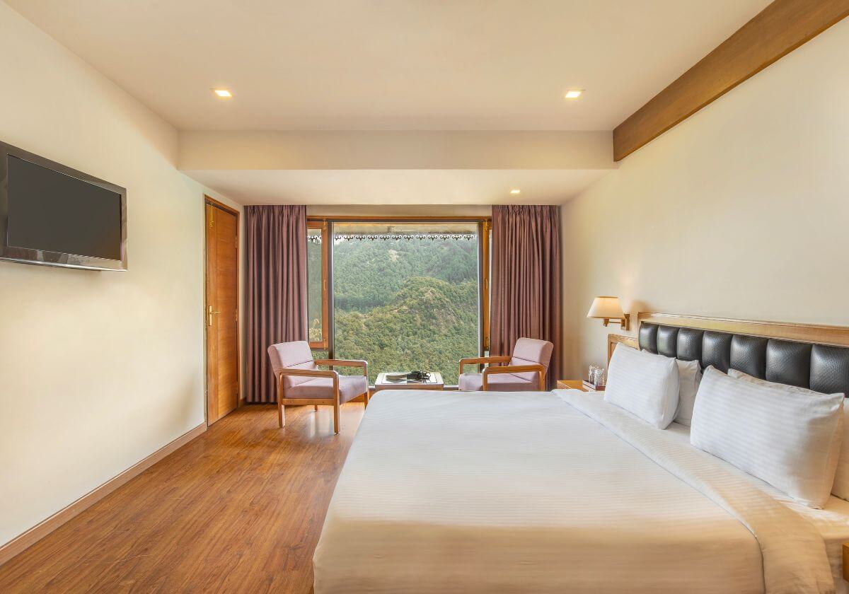 mountain-view-rooms-2